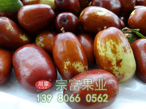 油棗