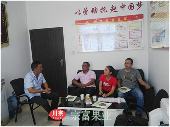 “宗富果業”裴宗富裴總為徐總出謀劃策