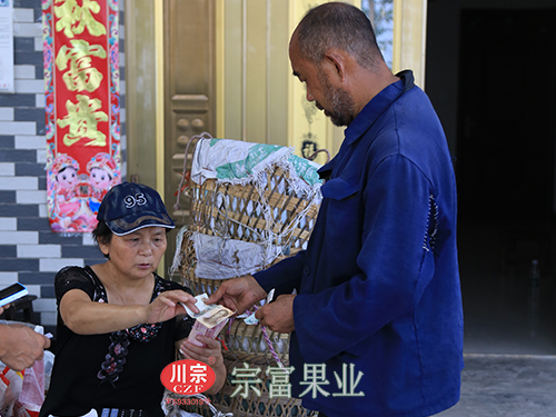 圖為：果農在收購點賣脆紅李