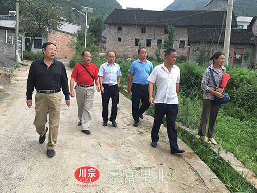 圖為：“宗富果業”團隊下鄉規劃園地