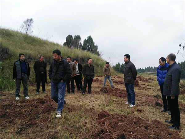 考察李樹苗基地現場圖