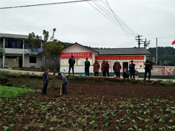廣元彭老板駕車來提李樹苗 我社種植人員一同前往指導栽植